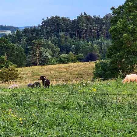 Wetheral Package 1 Ferienhaus